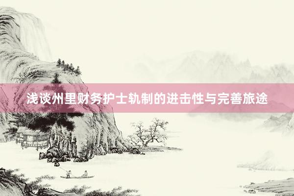 浅谈州里财务护士轨制的进击性与完善旅途