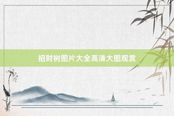招财树图片大全高清大图观赏