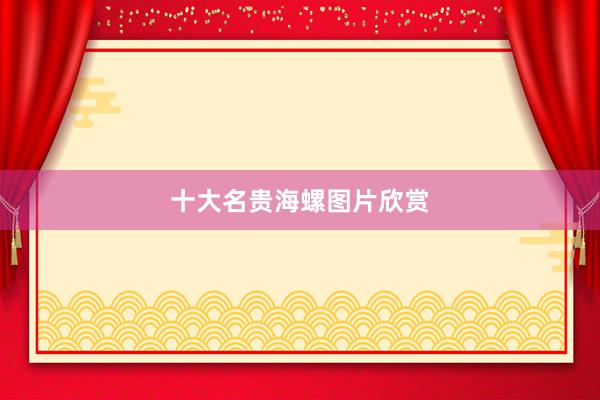 十大名贵海螺图片欣赏
